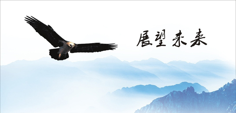 匯普源的發(fā)展戰略